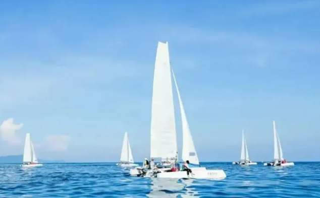 1732502914826245.png 帆船出海.png